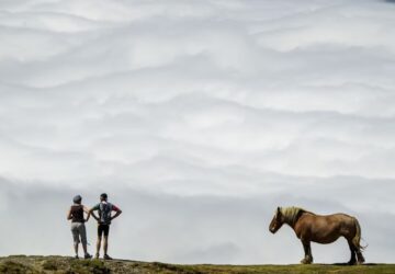 ontudat a patak mogott