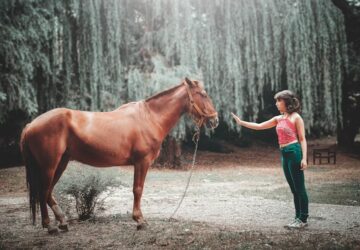 lo aki a legjobb terapeuta 1