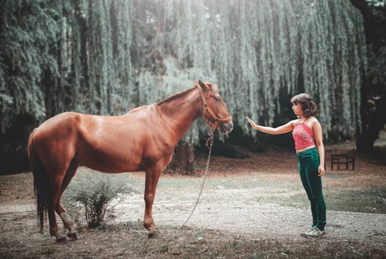 lo aki a legjobb terapeuta 1