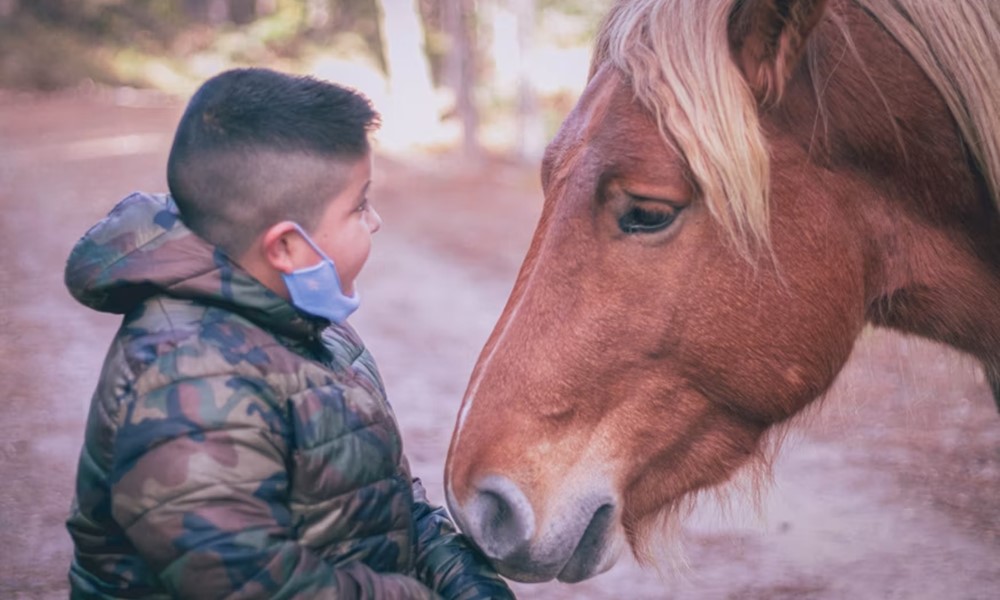 lo aki a legjobb terapeuta lo aki a legjobb terapeuta