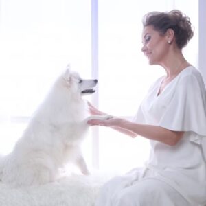 majdnem megfejtettek az allatok titkos nyelvet