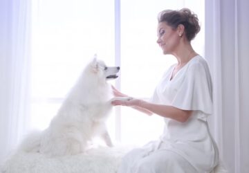 majdnem megfejtettek az allatok titkos nyelvet