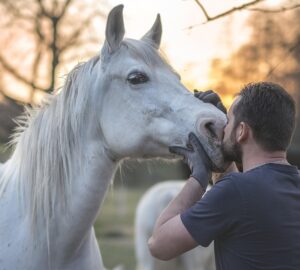uj iranyzatok a termeszetes lokikepzesben