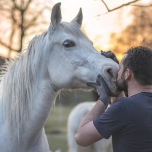 uj iranyzatok a termeszetes lokikepzesben