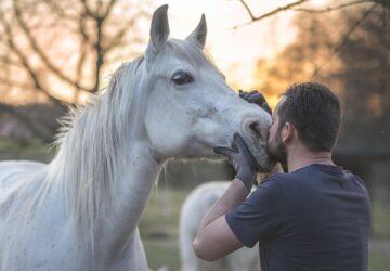 uj iranyzatok a termeszetes lokikepzesben