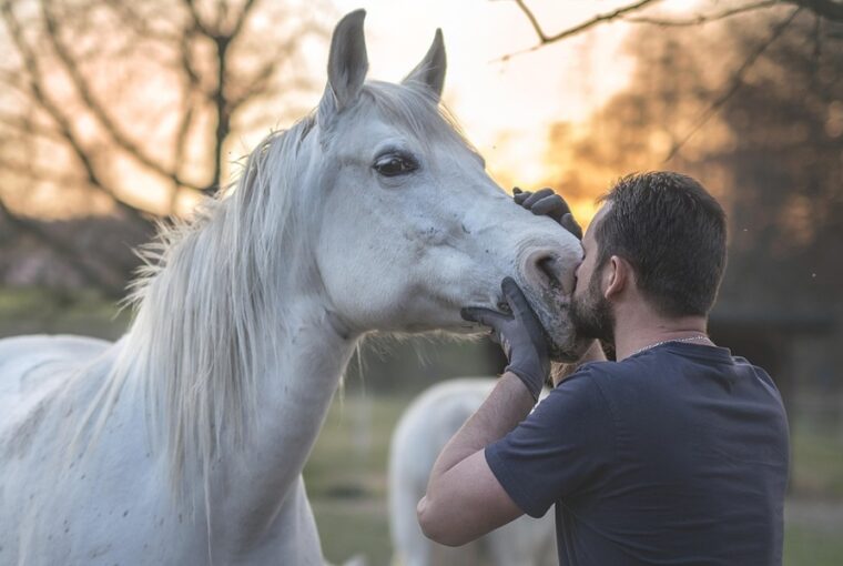 uj iranyzatok a termeszetes lokikepzesben