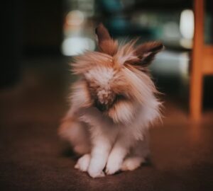 10 allattartoi tevhit