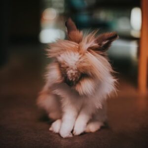 10 allattartoi tevhit