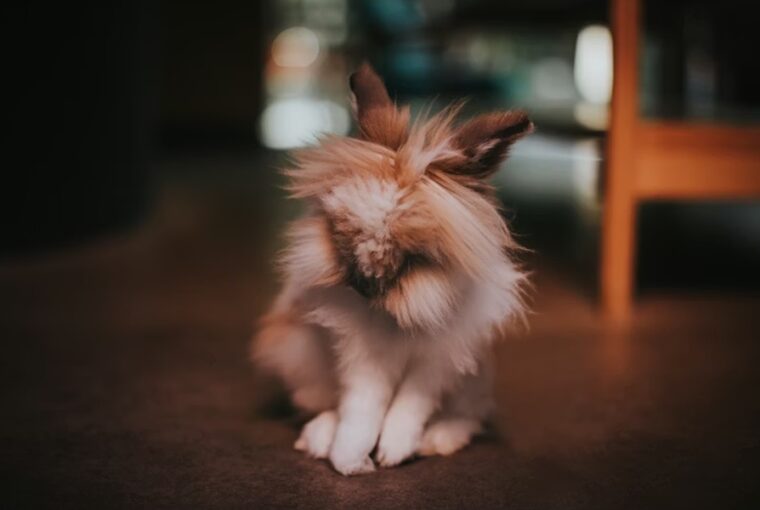 10 allattartoi tevhit