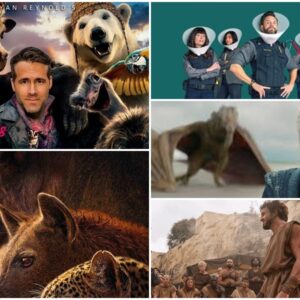 2026 állatos műsorai