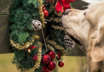 adventi koszoru eheto 1