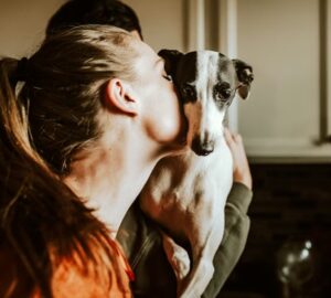 mennyibe kerul ma egy haziallat 2