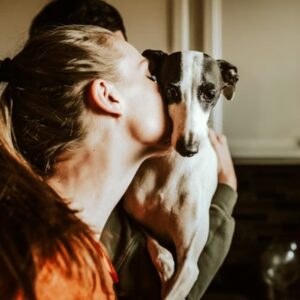 mennyibe kerul ma egy haziallat 2