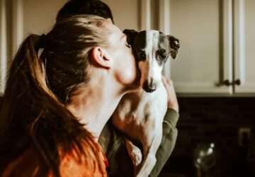 mennyibe kerul ma egy haziallat 2