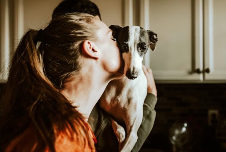 mennyibe kerul ma egy haziallat 2