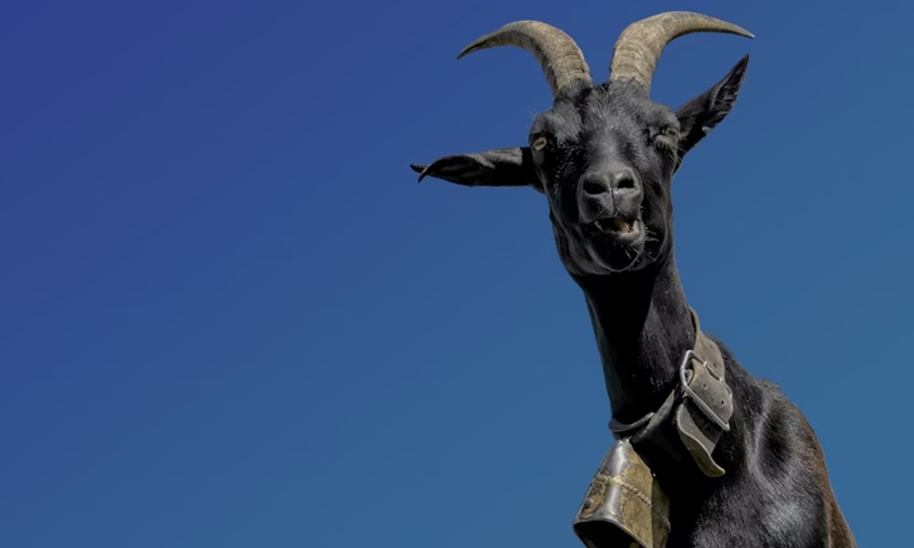 miert nez rad ugy a kecske 4