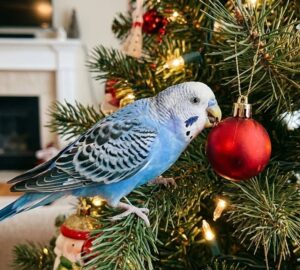 papagaj karacsonyfa