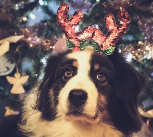 tiltolistas unnepi falatok