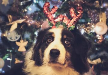 tiltolistas unnepi falatok