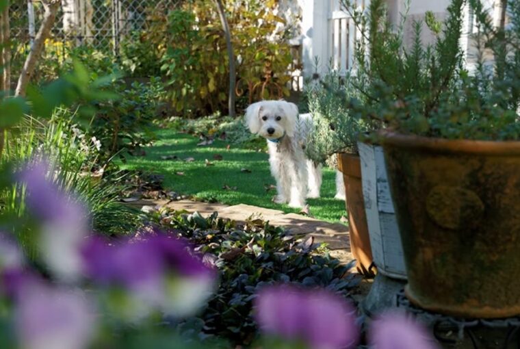 allatok eszreveszik ha rossz eszkozzel dolgozol