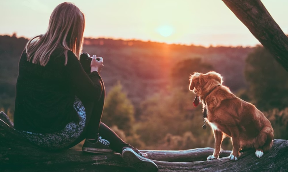 felelos kutyatartas 2