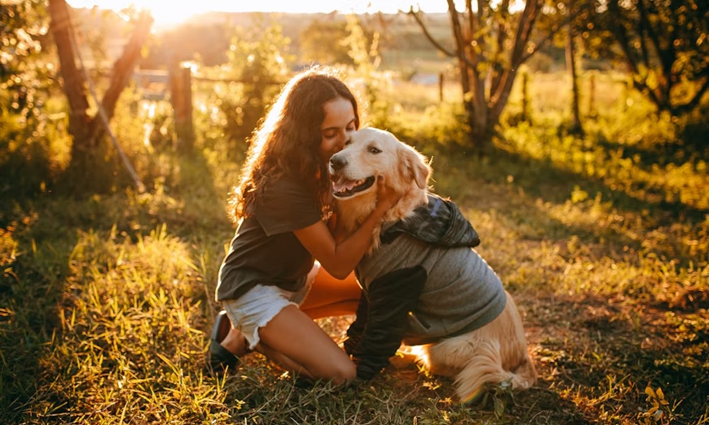 felelos kutyatartas 3