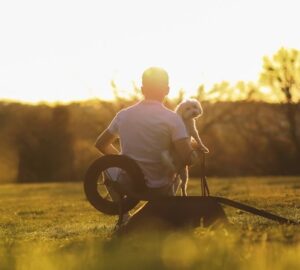 hozzank hasonlo allatot 1