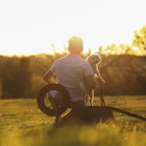 hozzank hasonlo allatot 1