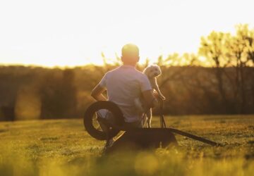 hozzank hasonlo allatot 1