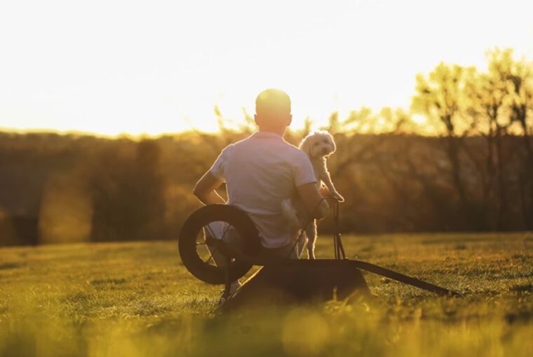 hozzank hasonlo allatot 1