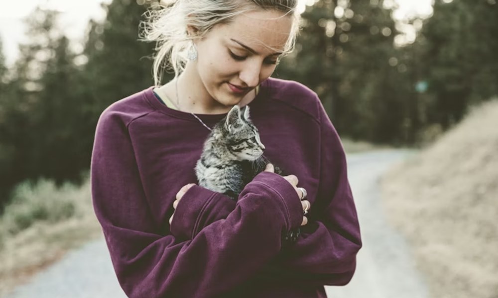 hozzank hasonlo allatot 3