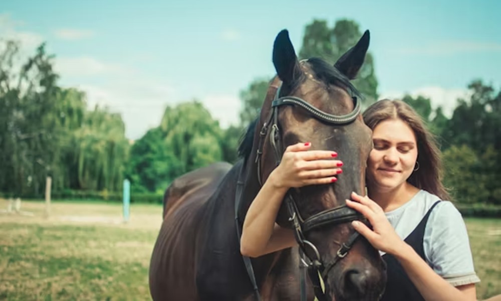 miert mukodik a loterapia 1 2026