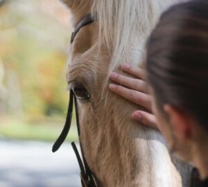 miert mukodik a loterapia 1
