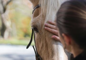 miert mukodik a loterapia 1