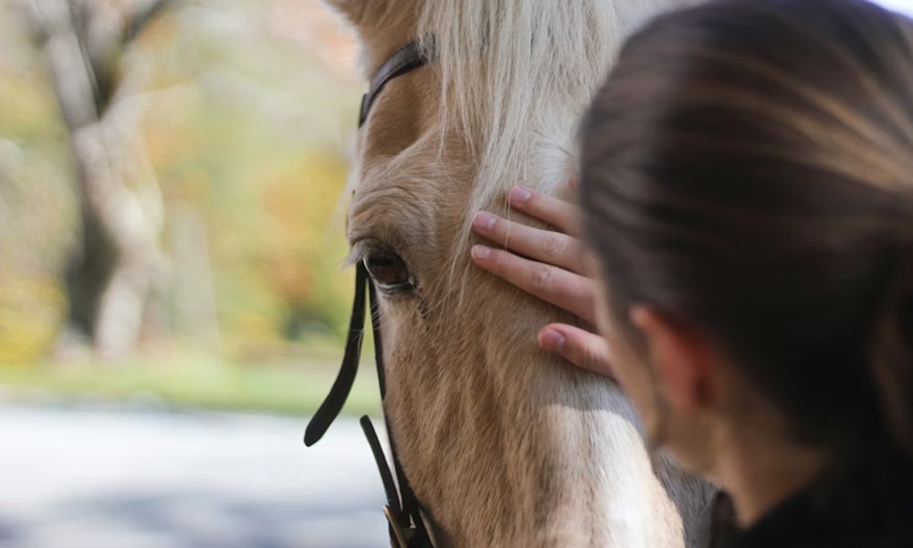 miert mukodik a loterapia 1