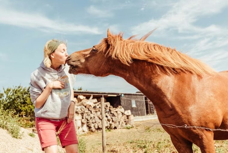 miert mukodik a loterapia 2 2026