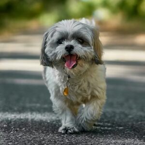 cuki pofa nehez levego 4