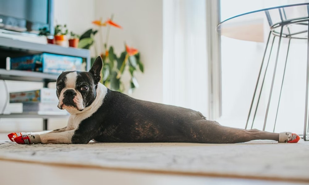 cuki pofa nehez levego 5