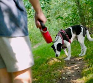 A kutya orra többet tud a parkról, mint te